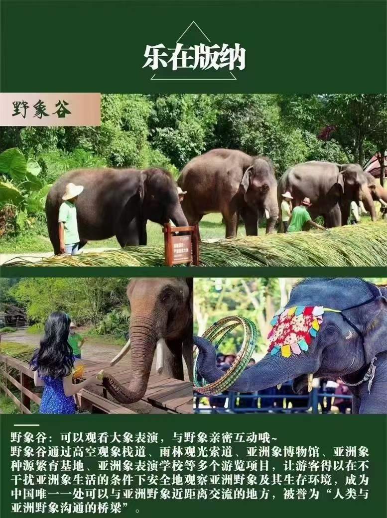 合肥去西双版纳旅游