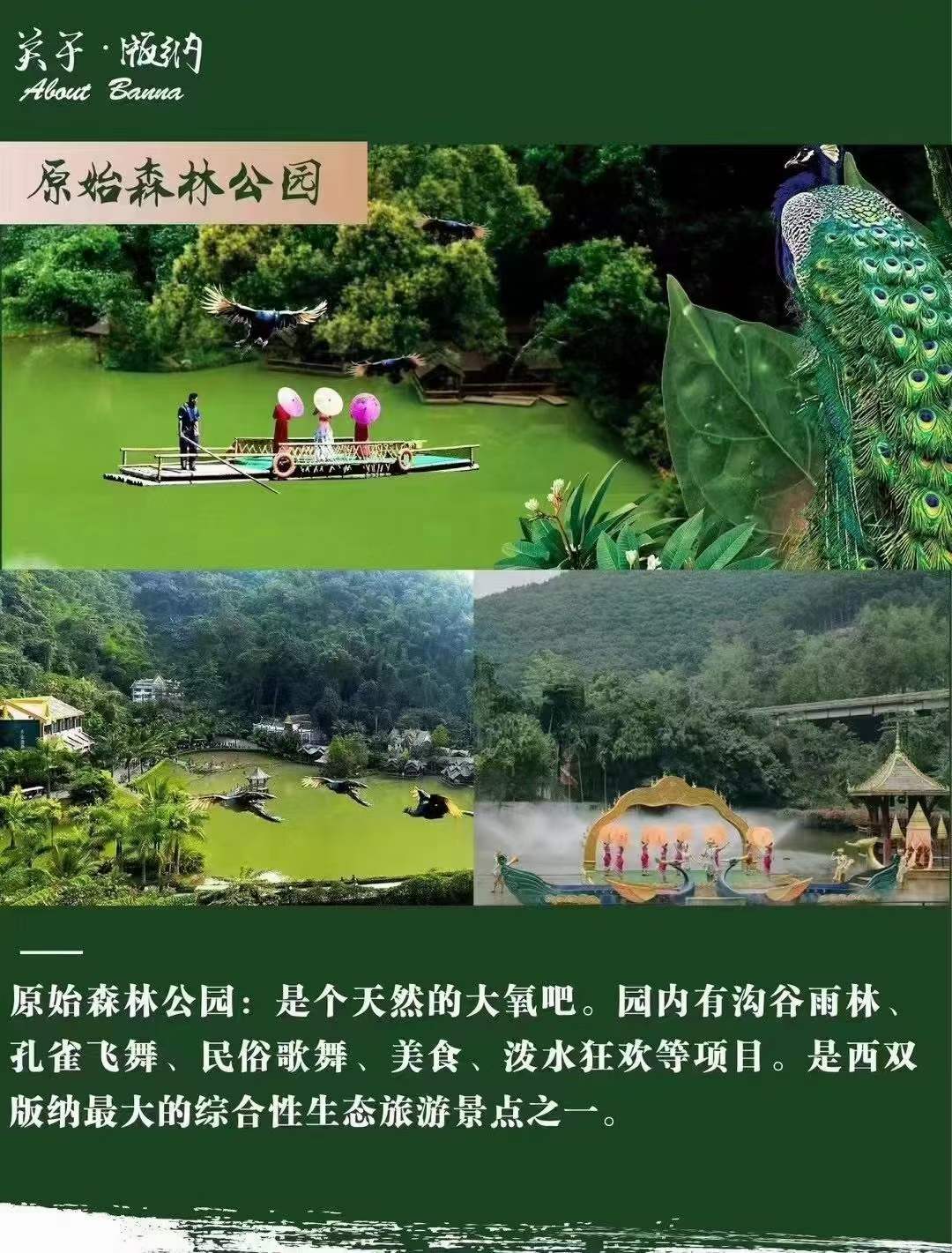 合肥去西双版纳旅游3