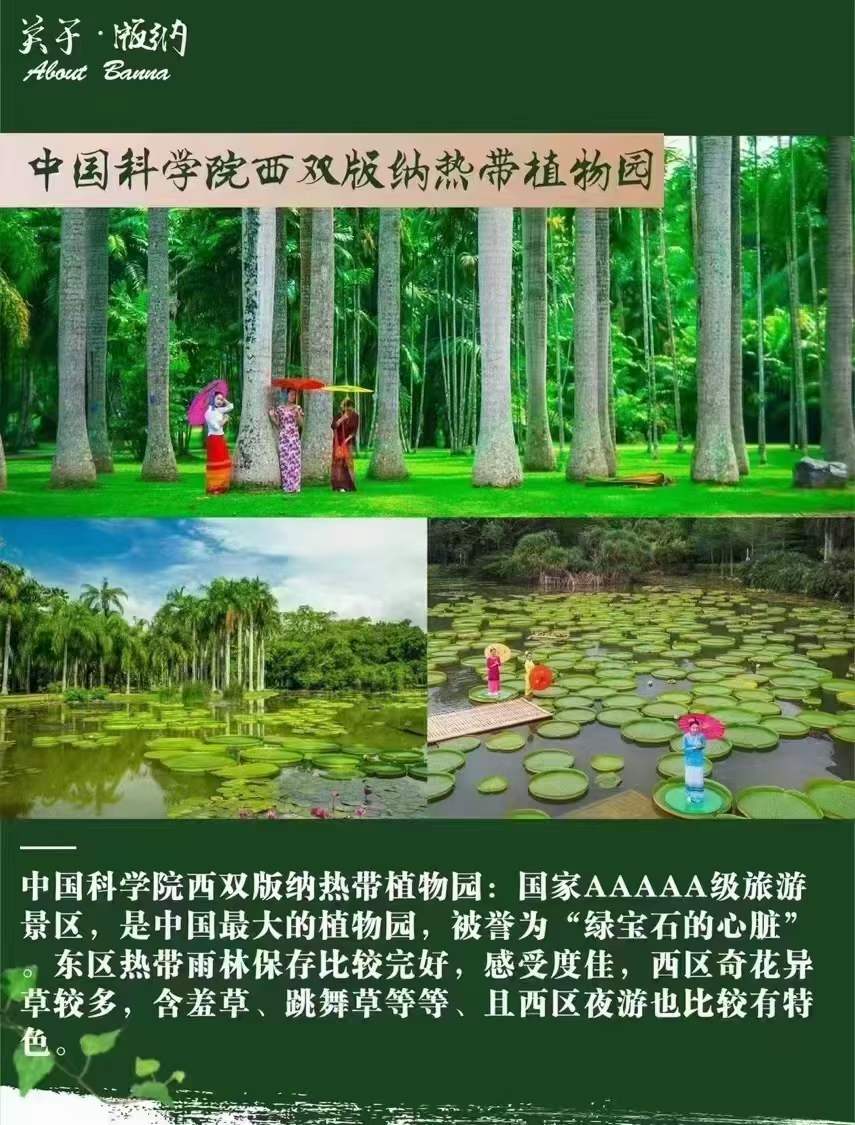 合肥去西双版纳旅游2